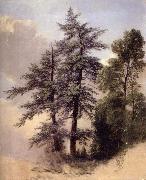 Asher Brown Durand, Study from Nature Trees,Newburgh,